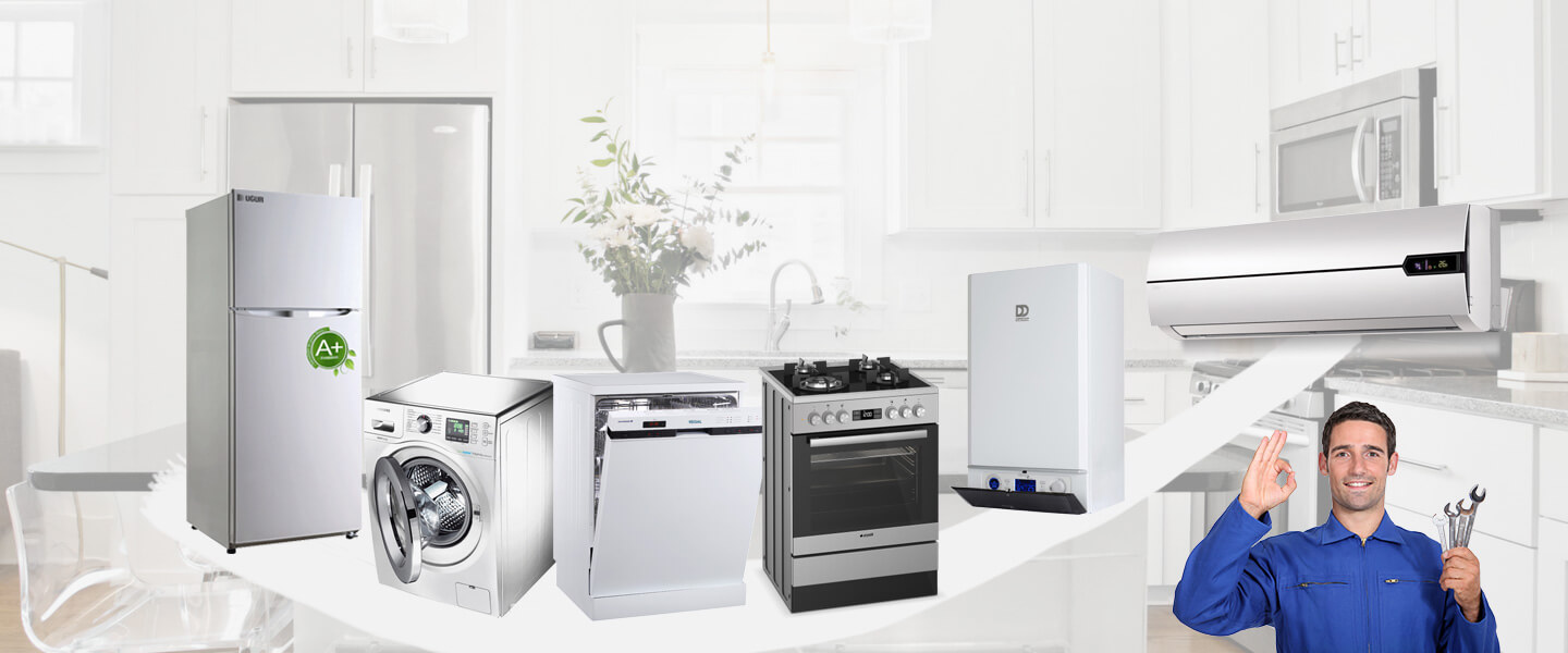 Alaca Warmhaus Servisi